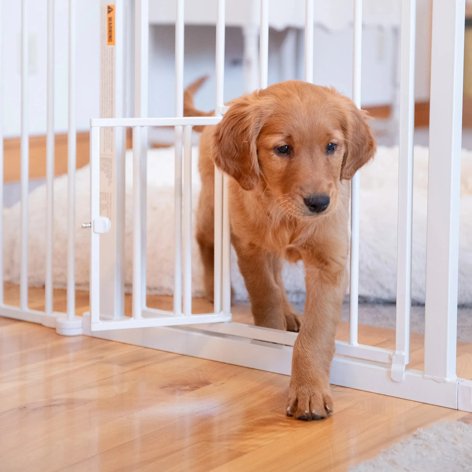 2-in-1 Super Wide Pet Pen & Gate