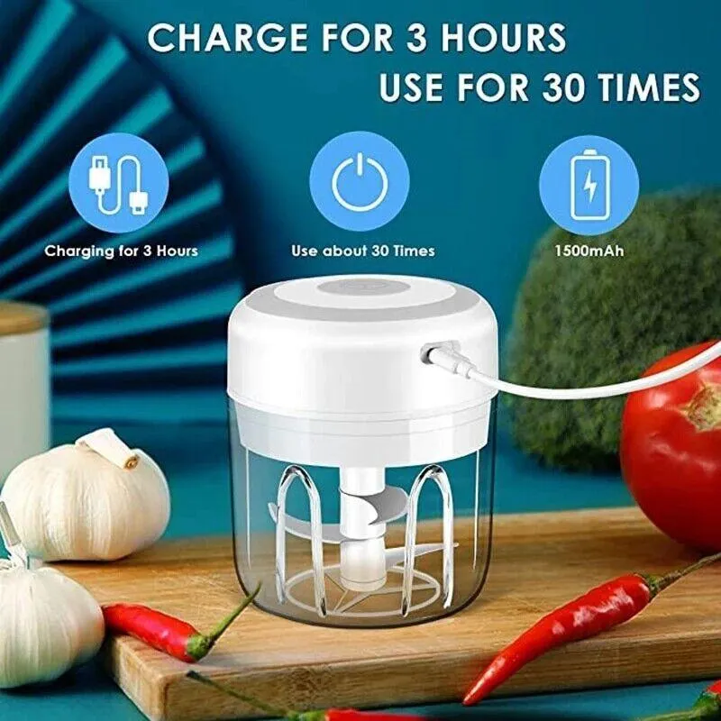 250ML Electric Garlic Food Chopper Vegetable Chopper Grinder Blender Crusher