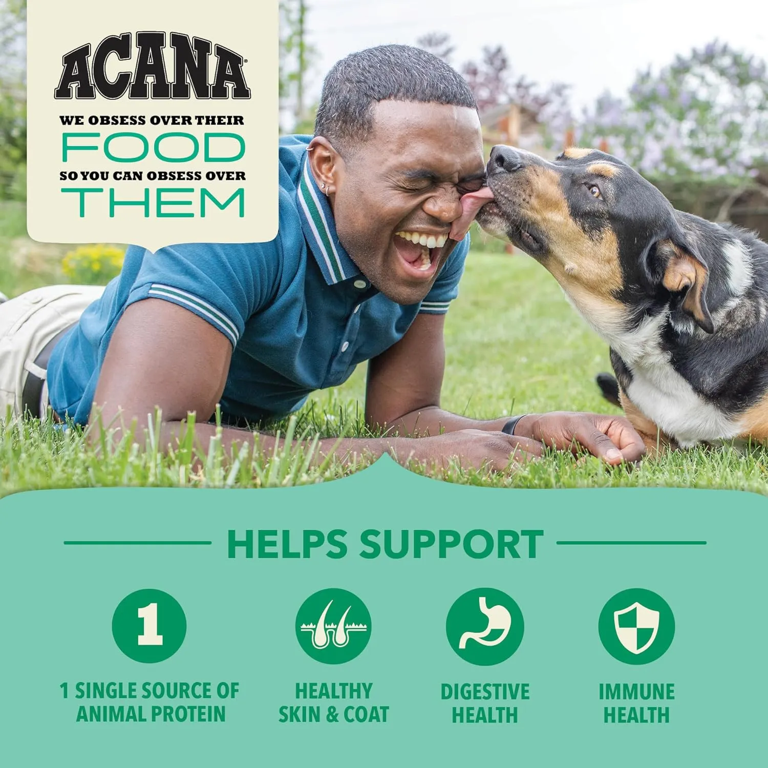 Acana Wholesome Grains/ Lamb & Pumpkin Dry Dog Food