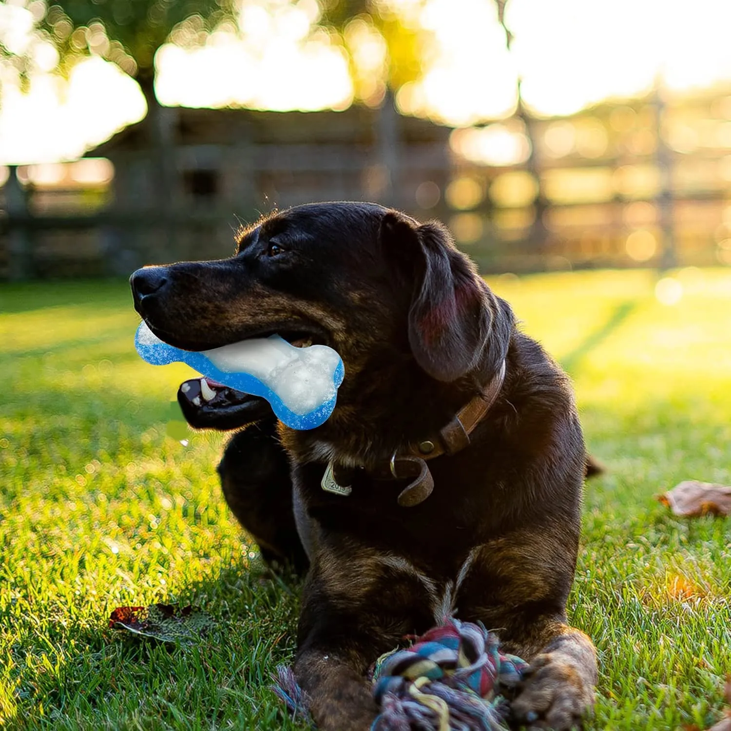 All For Paws - Chill Out Ice Bone - Small