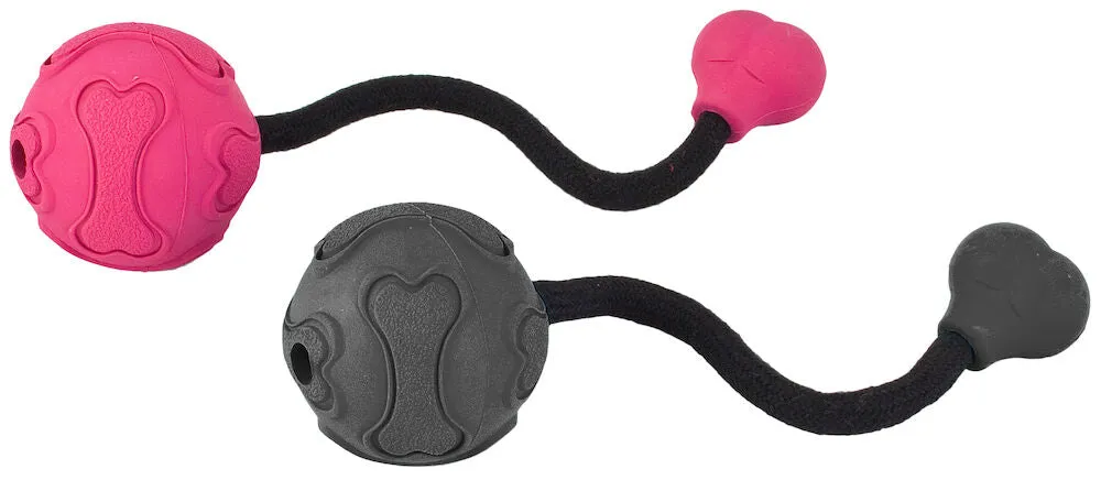 Best Friend Flyball rubber dog toy