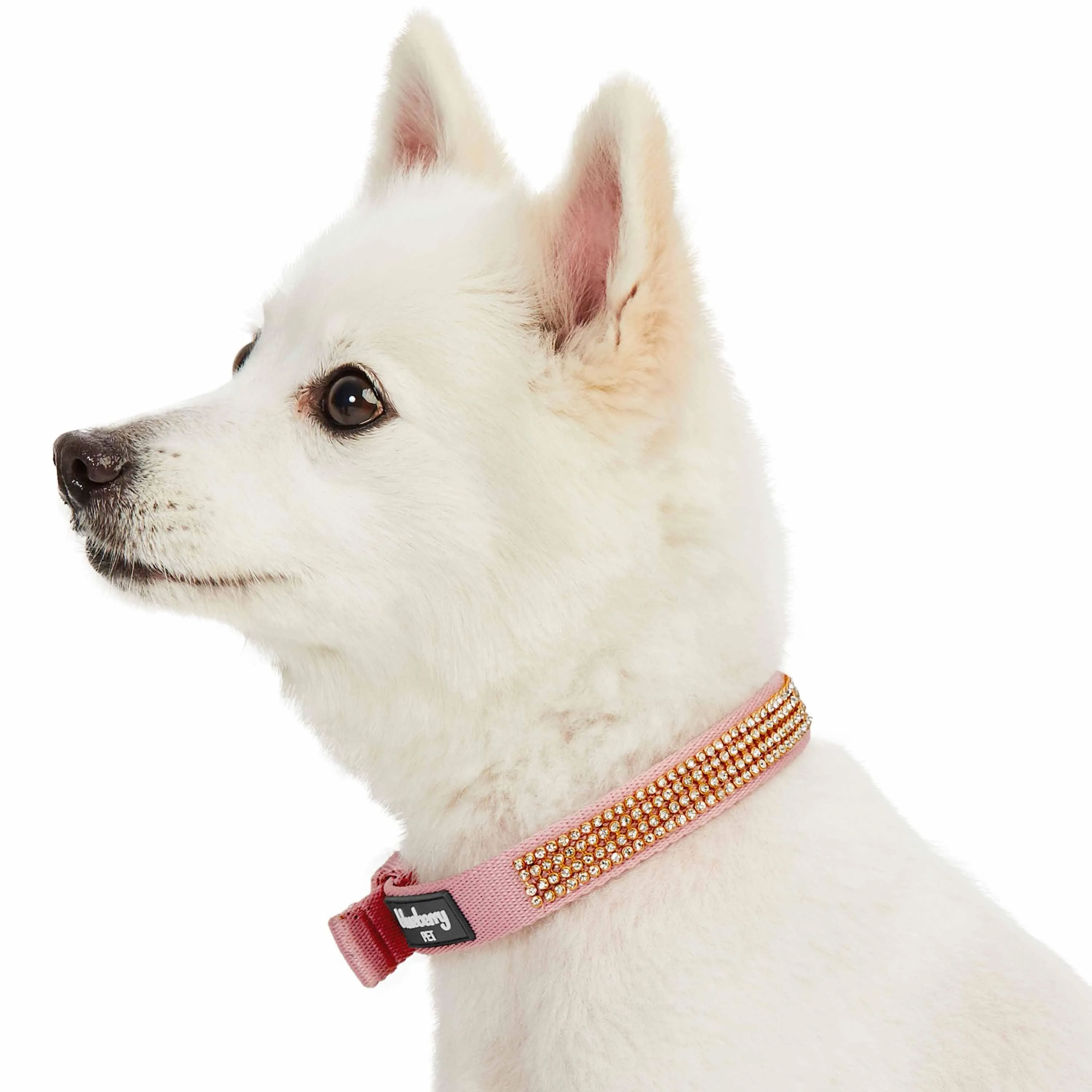 Bling Crystal Rhinestone Puppy Dog Collars Pink Red Lavender Adjustable Sparkling Embellished Fancy Collar for Girls Pet