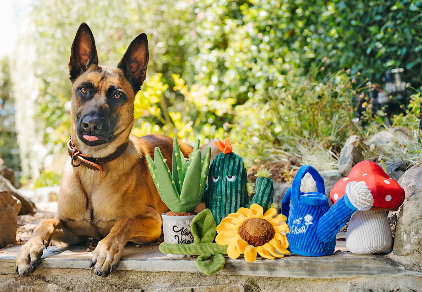 Blooming Buddies Collection