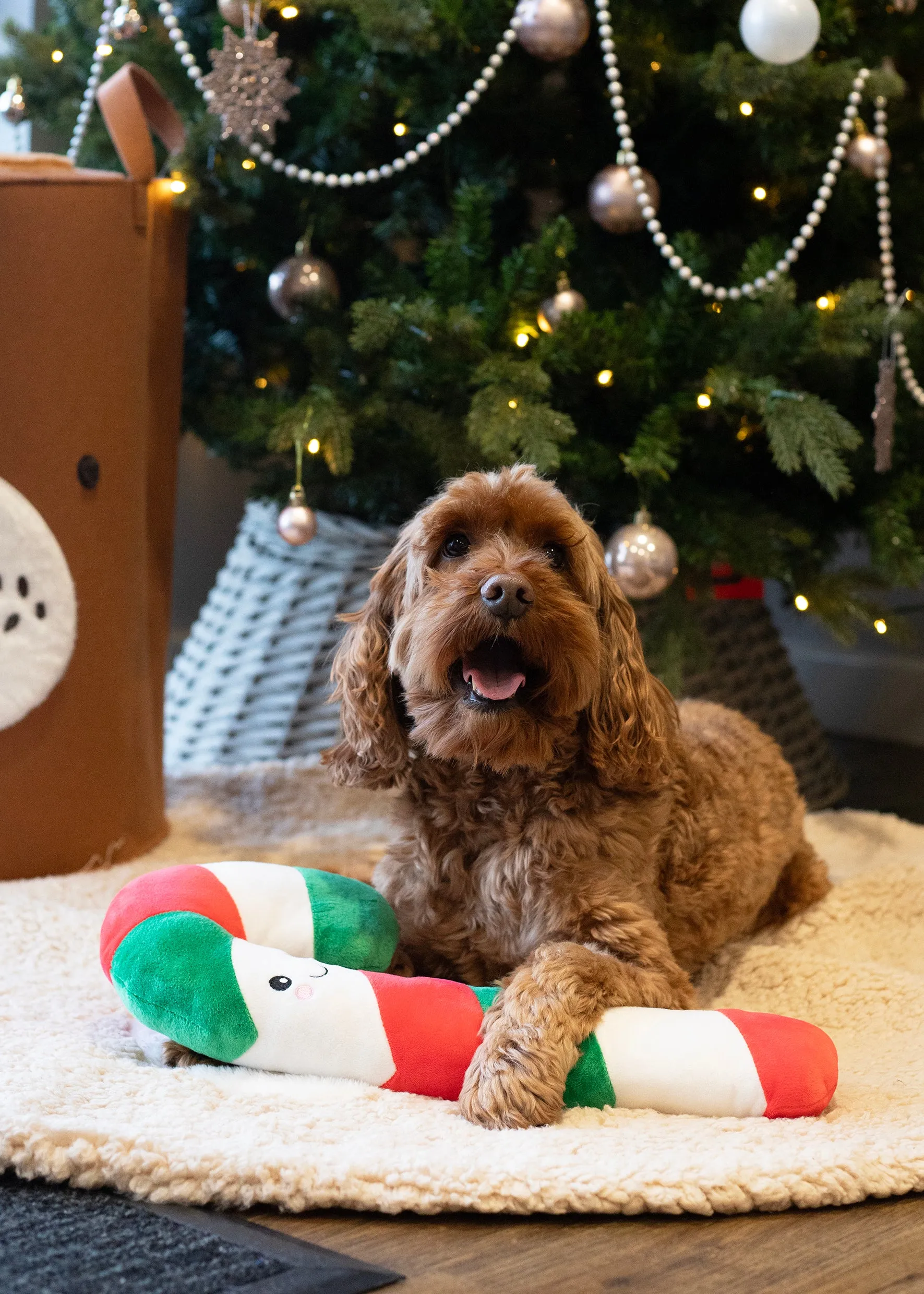 Carrie Candy Cane | Giant Plush Christmas Dog Toy by Cupid & Comet