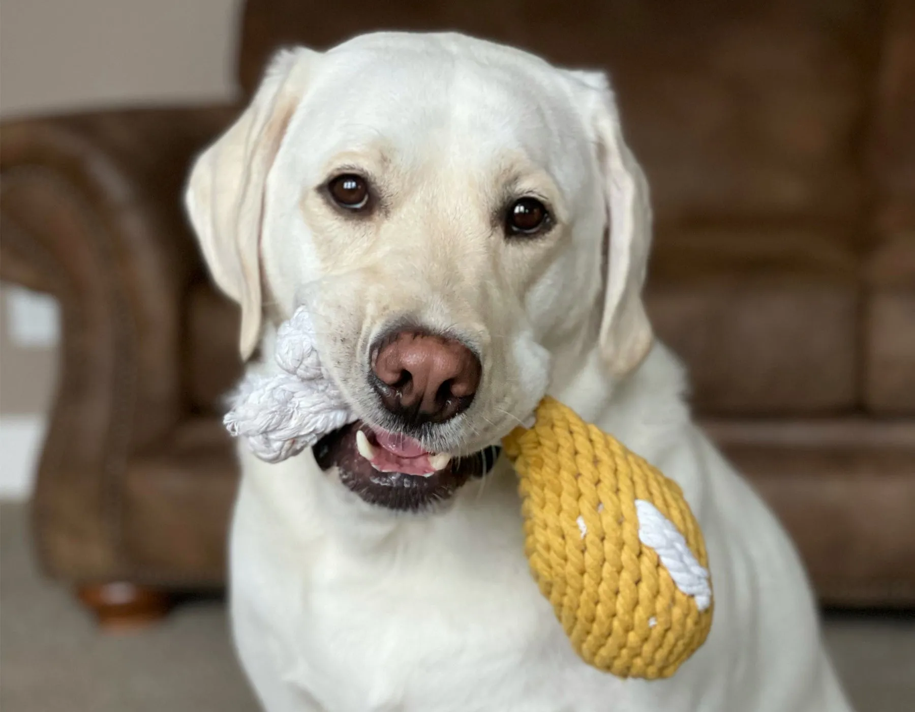 Chicken Drumstick 10" Rope Dog Toy