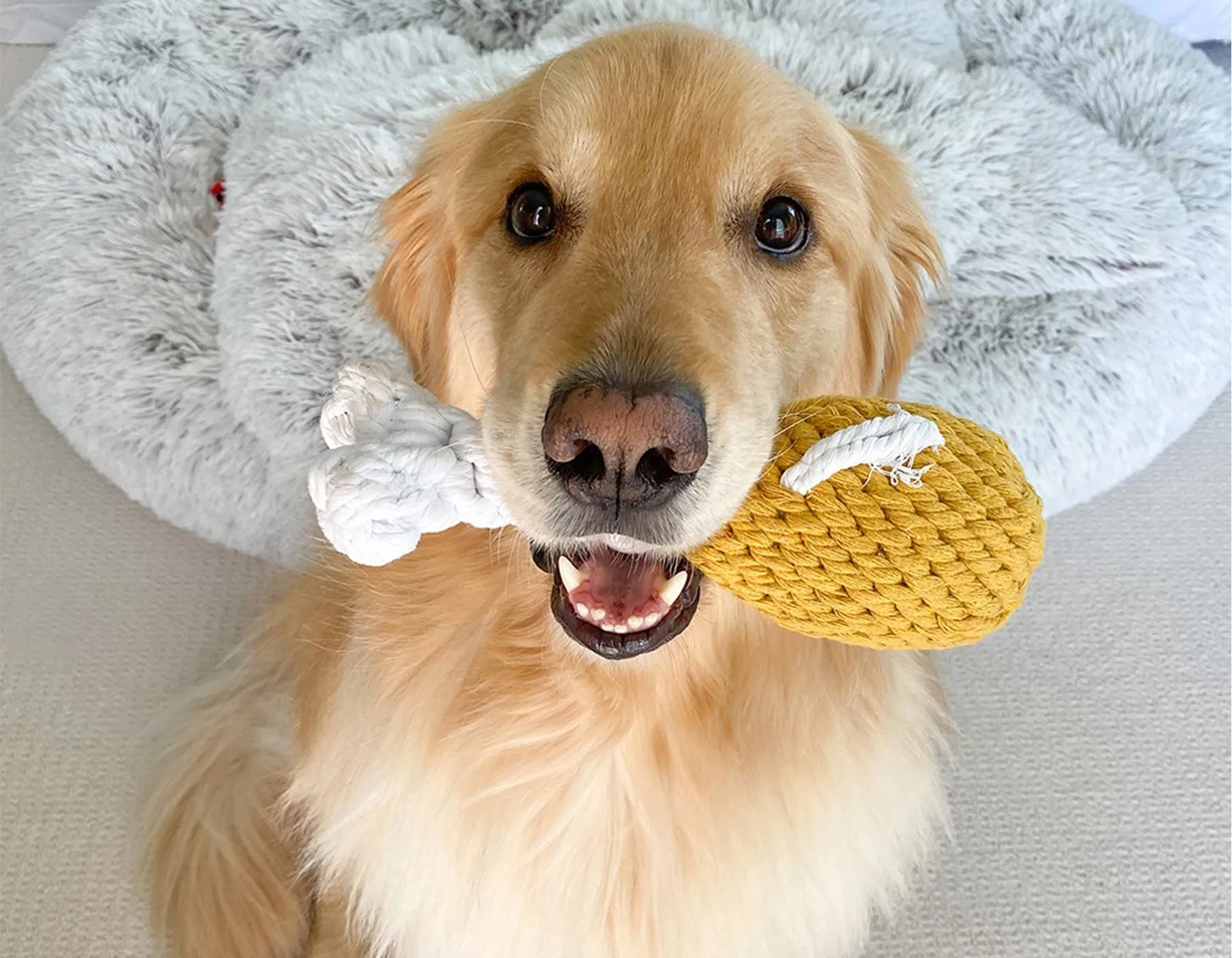 Chicken Drumstick 10" Rope Dog Toy