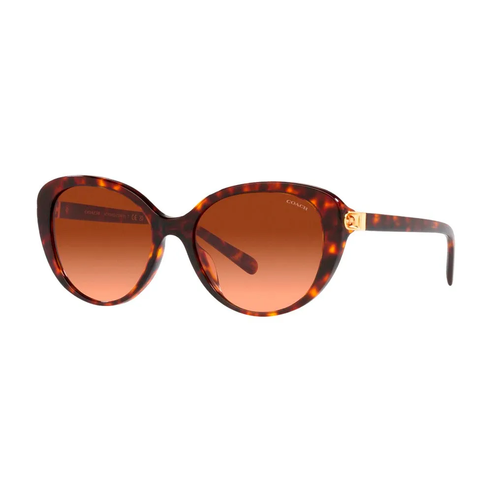 Coach Geometric Square Non-Polarized Sunglasses - Dark Tortoise/Brown Gradient