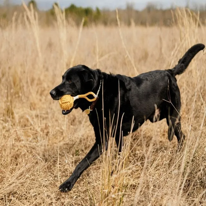 Field & Wander - Dog Rope Toy