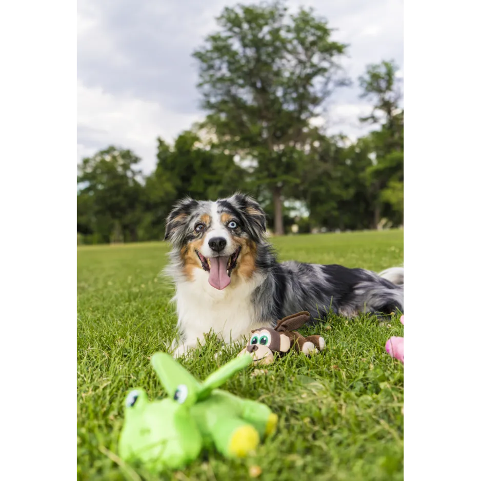 Funky Flingerz on Stick Frog Dog Toy