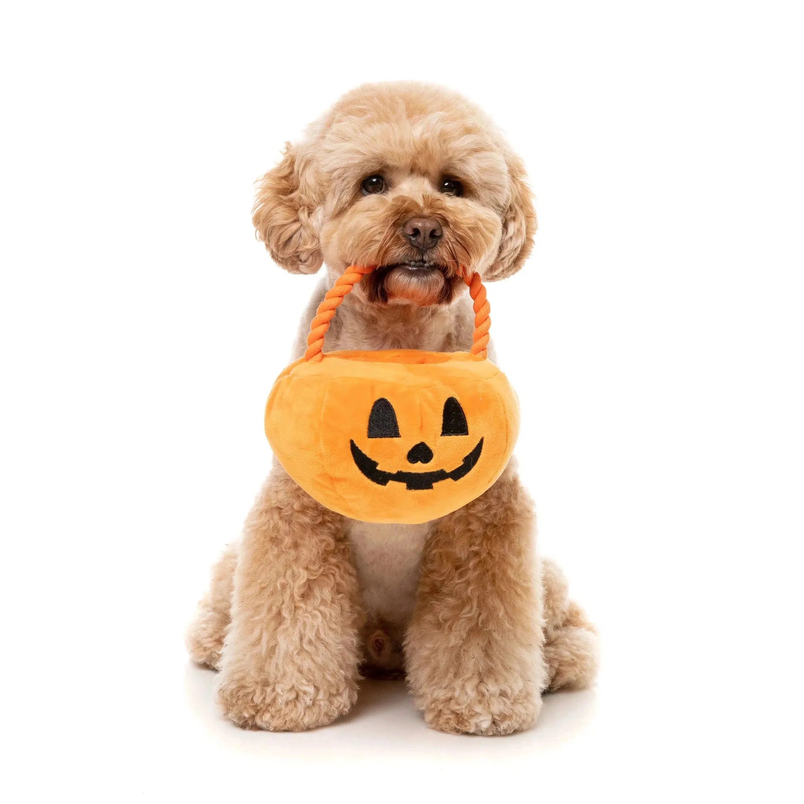 FuzzYard | Trick or Treat Pumpkin Basket - Halloween Plush Dog Toy