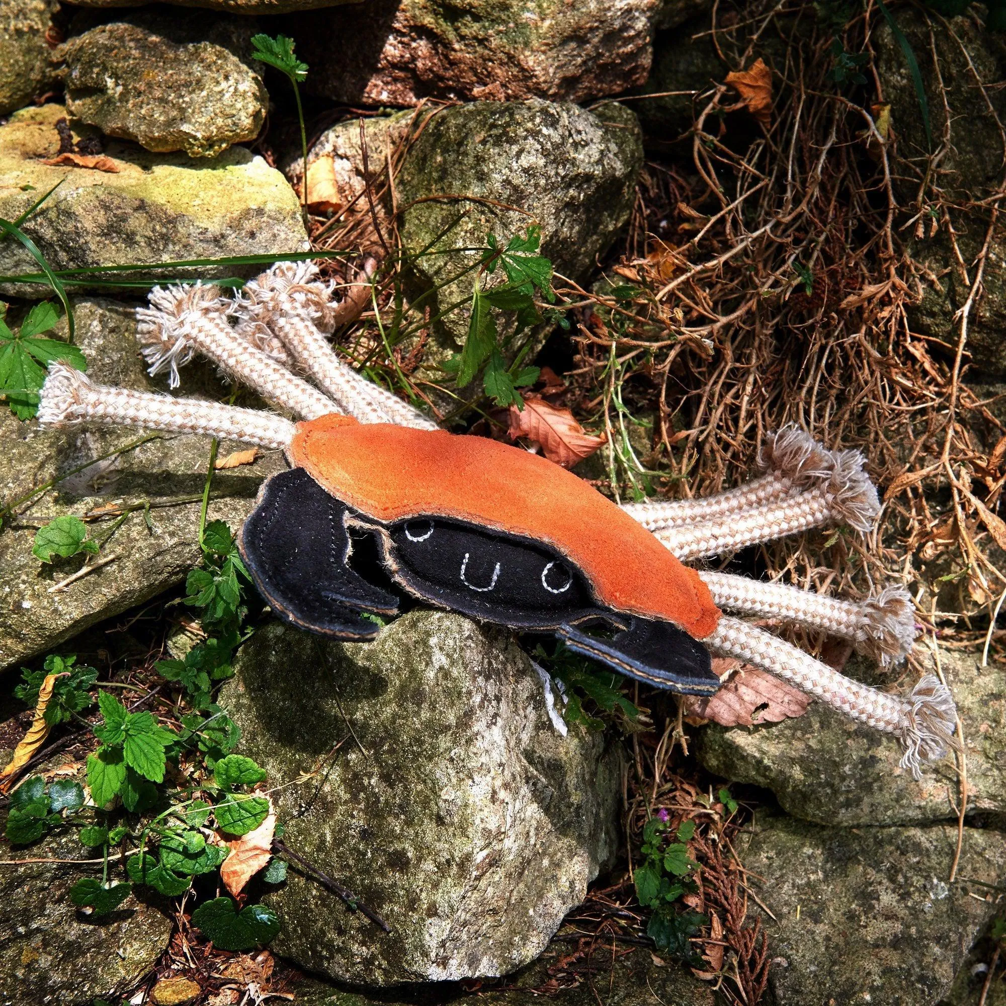 Green & Wilds | Eco Dog Toy - Carlos the Crab