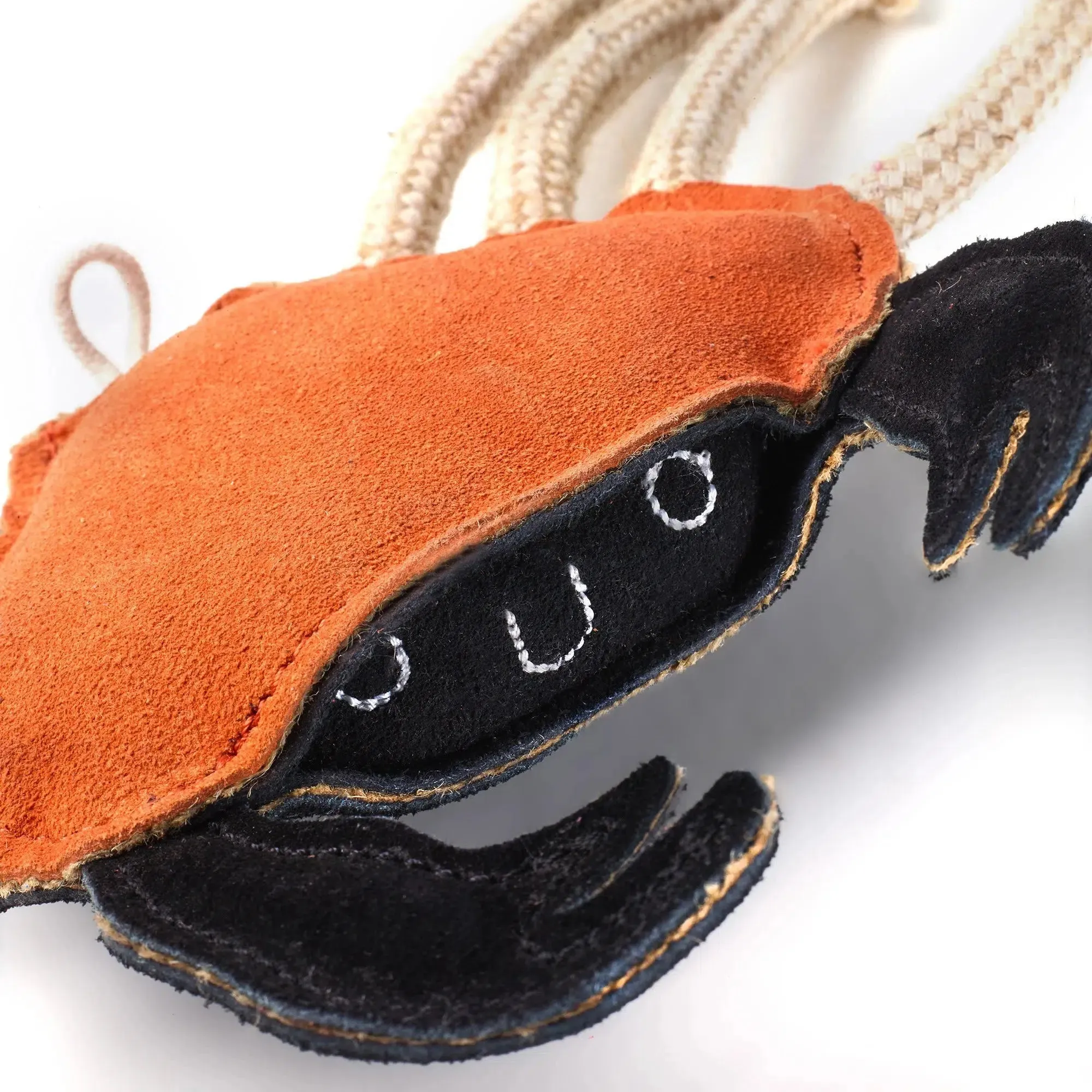 Green & Wilds | Eco Dog Toy - Carlos the Crab