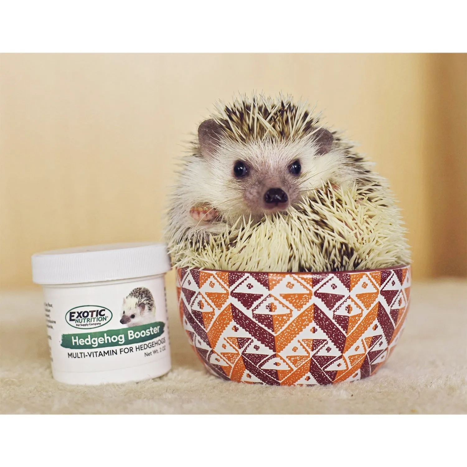 Hedgehog Home & Starter Pack