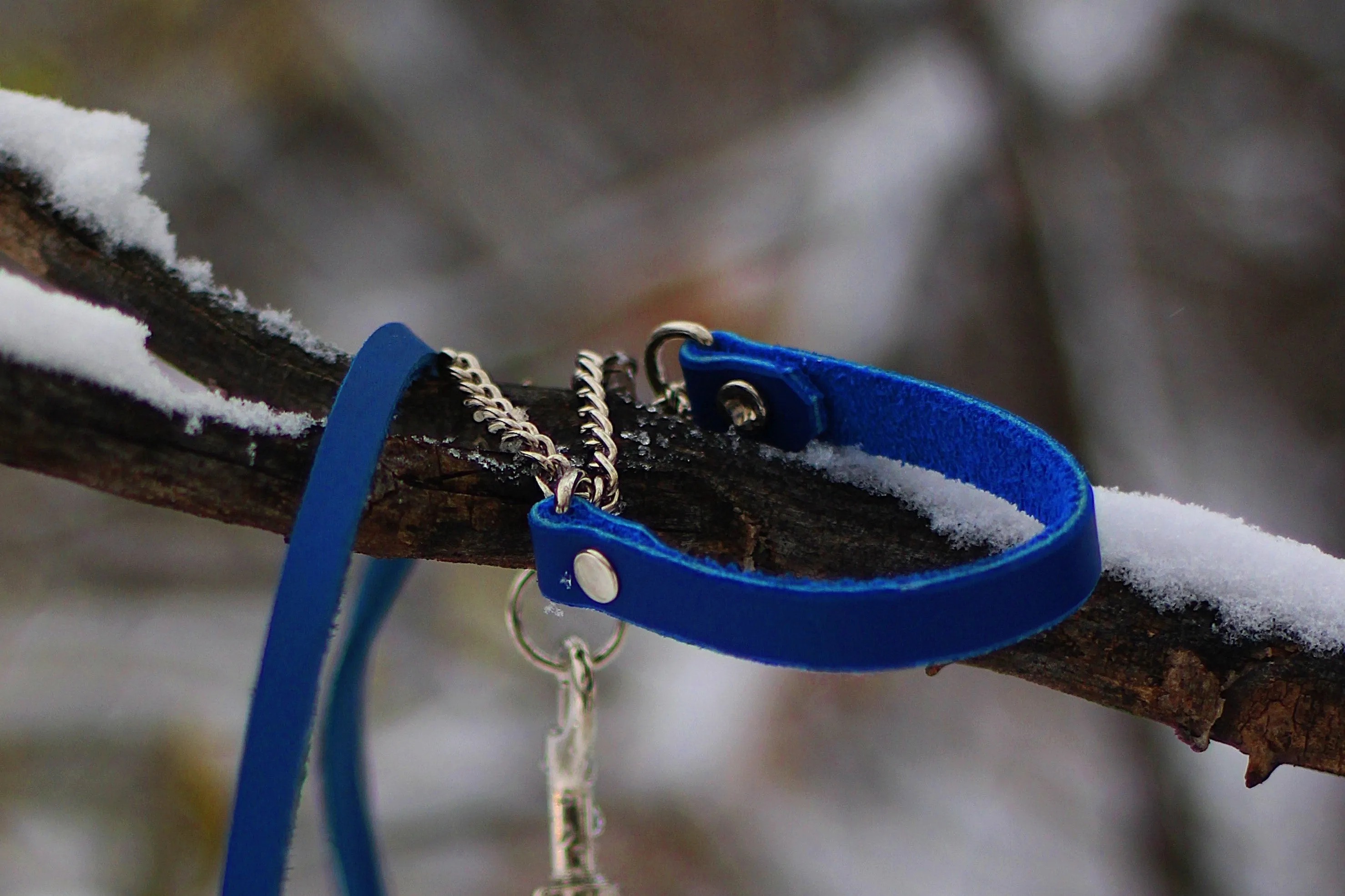 Latigo Leather Martingale Collars