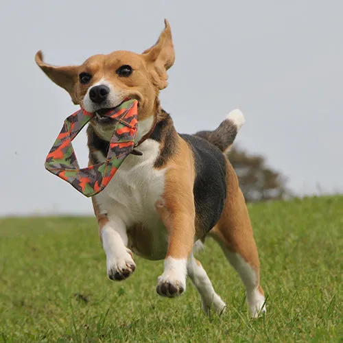 Major Dog Flying Felix Fetch Toy