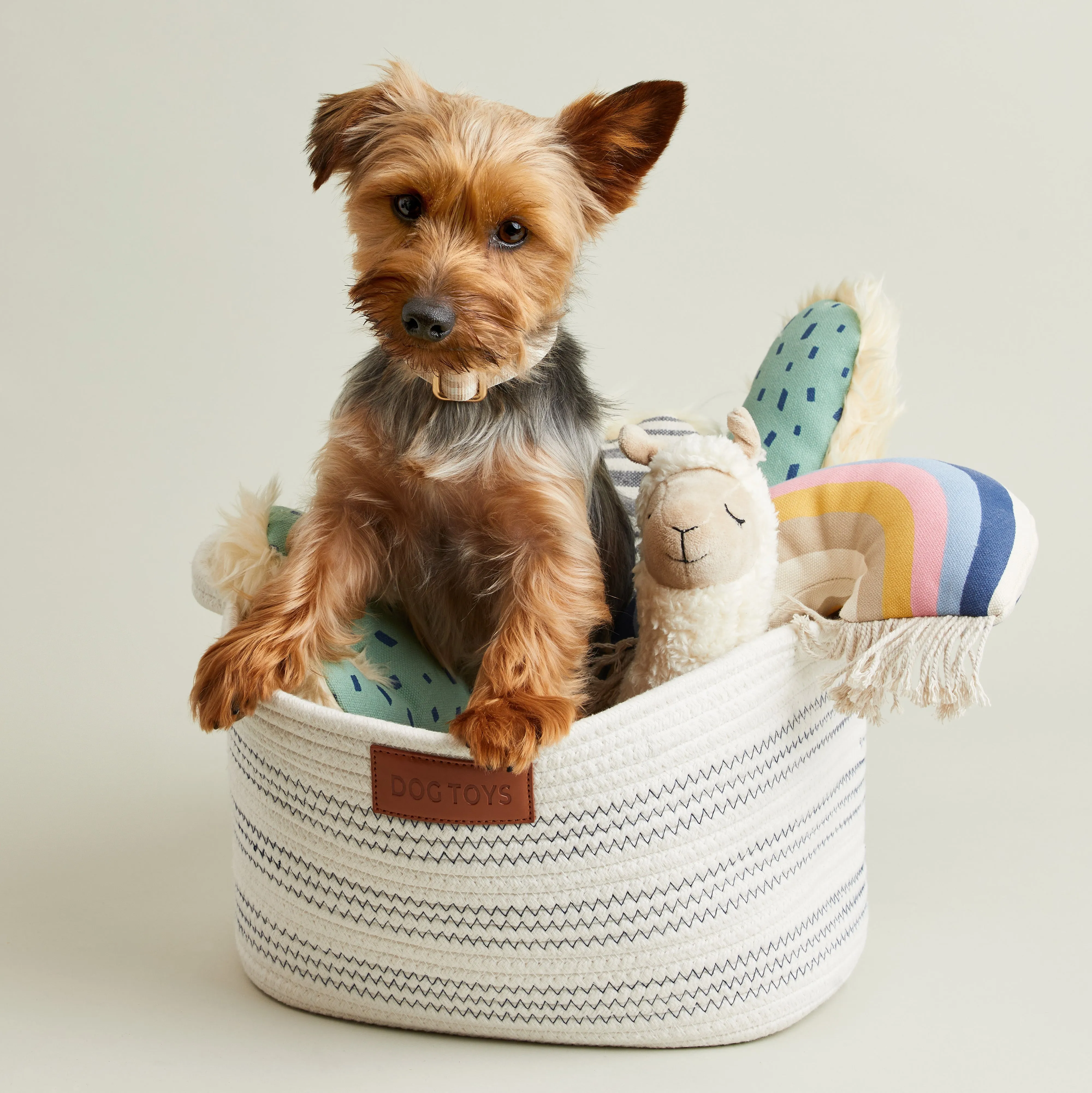 Market Stripe Toy Bin