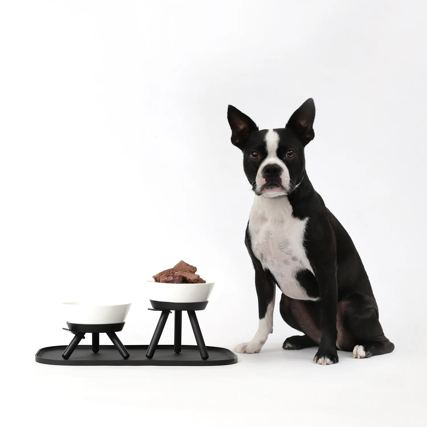 Oreo Pet Table with Bowl - Short