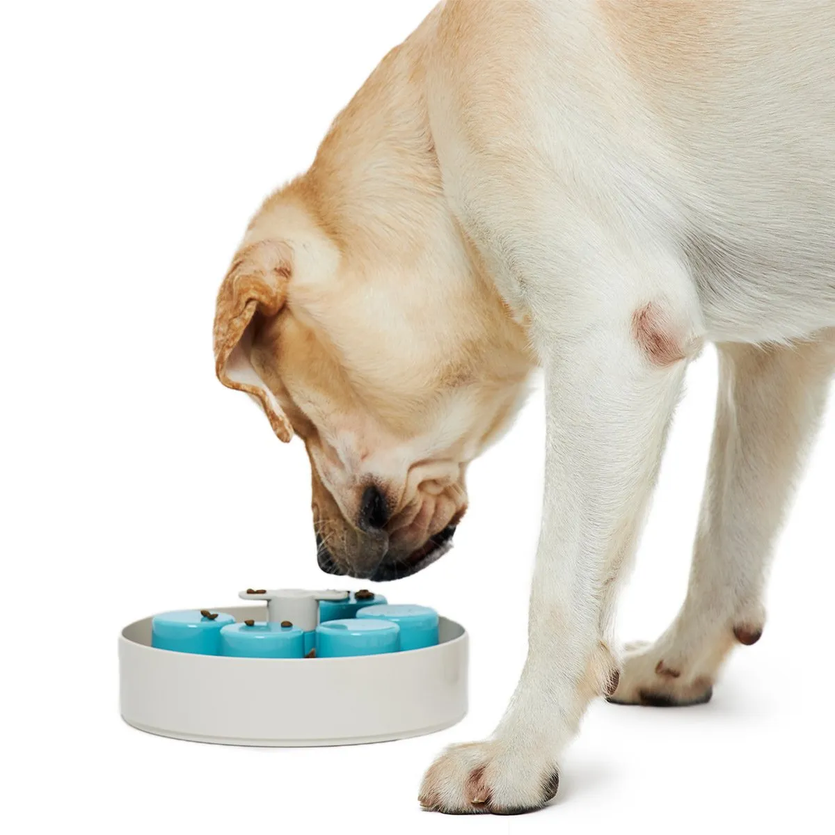 Pet DreamHouse Spin Interactive Slow Feeder for Dogs Palette