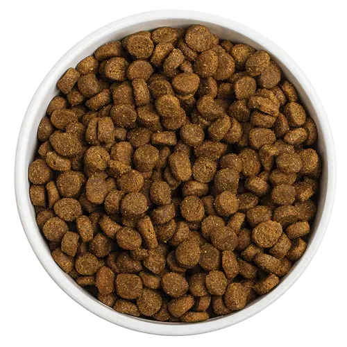 Redbarn Whole Grain Land Recipe Dog Food