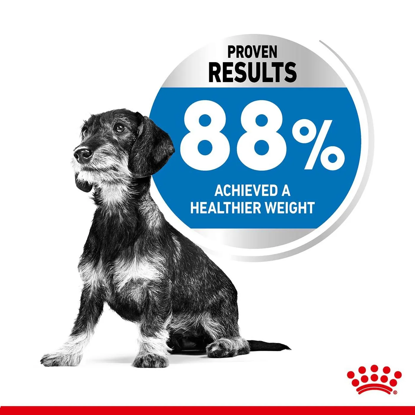 Royal Canin Mini Adult Light Weight Care Dog Food 3KG