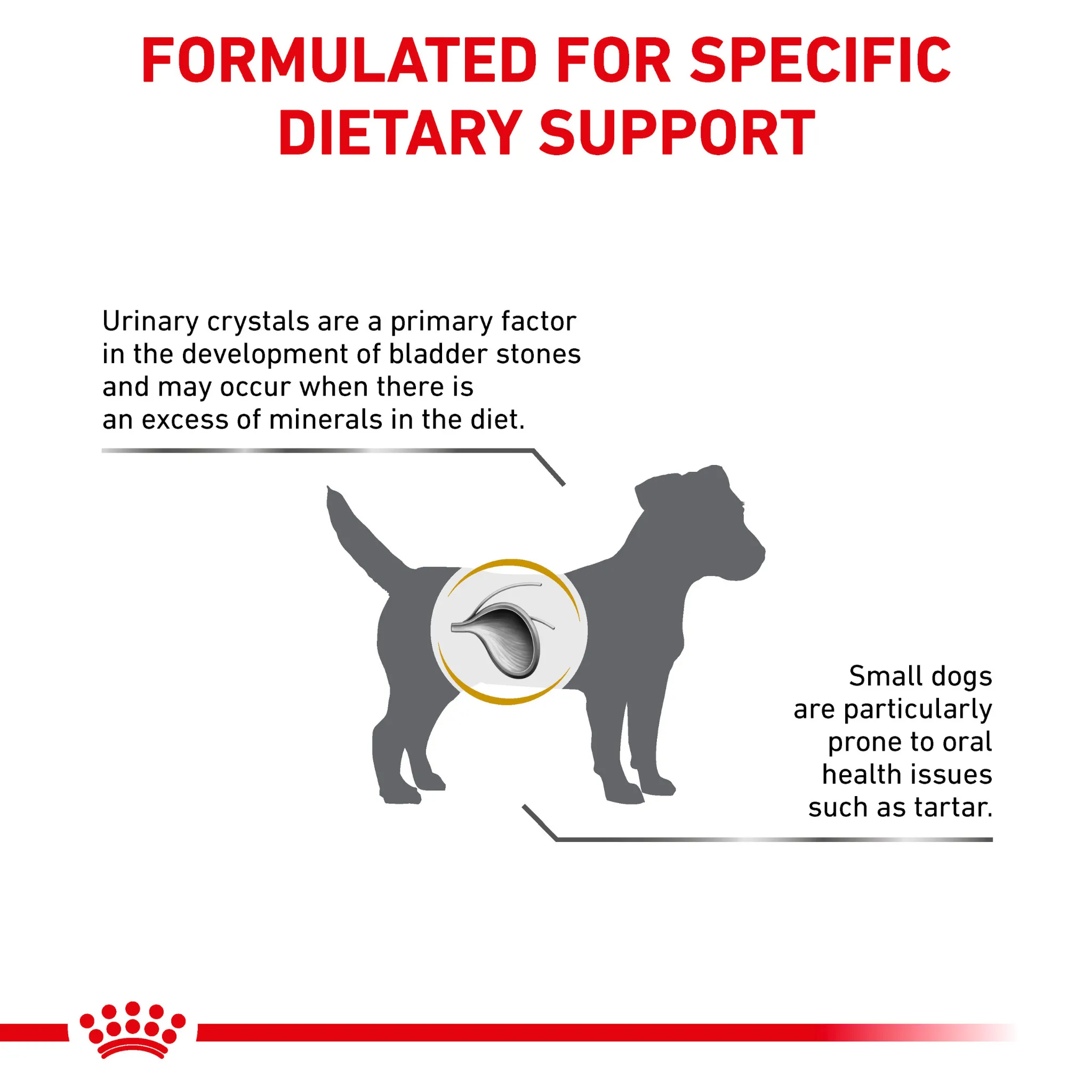 ROYAL CANIN® Urinary U/C Adult Dry Dog Food