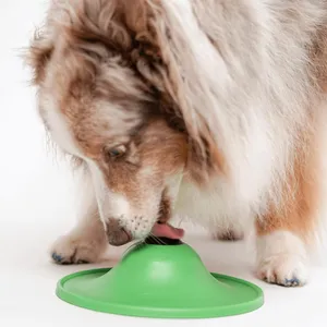 Stashios Soothing Saucer Kit for Dogs