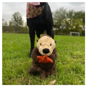 Tall Tails 13" Otter Rope Body Dog Toy