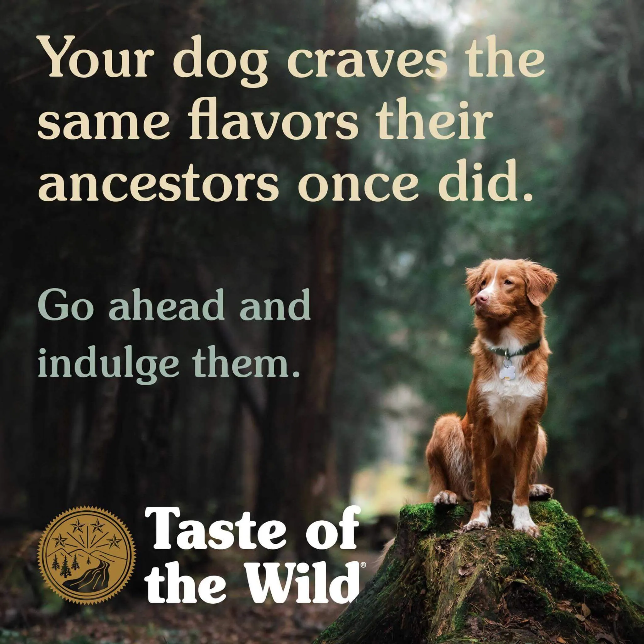 Taste of the Wild Grain-Free Dry Dog Food