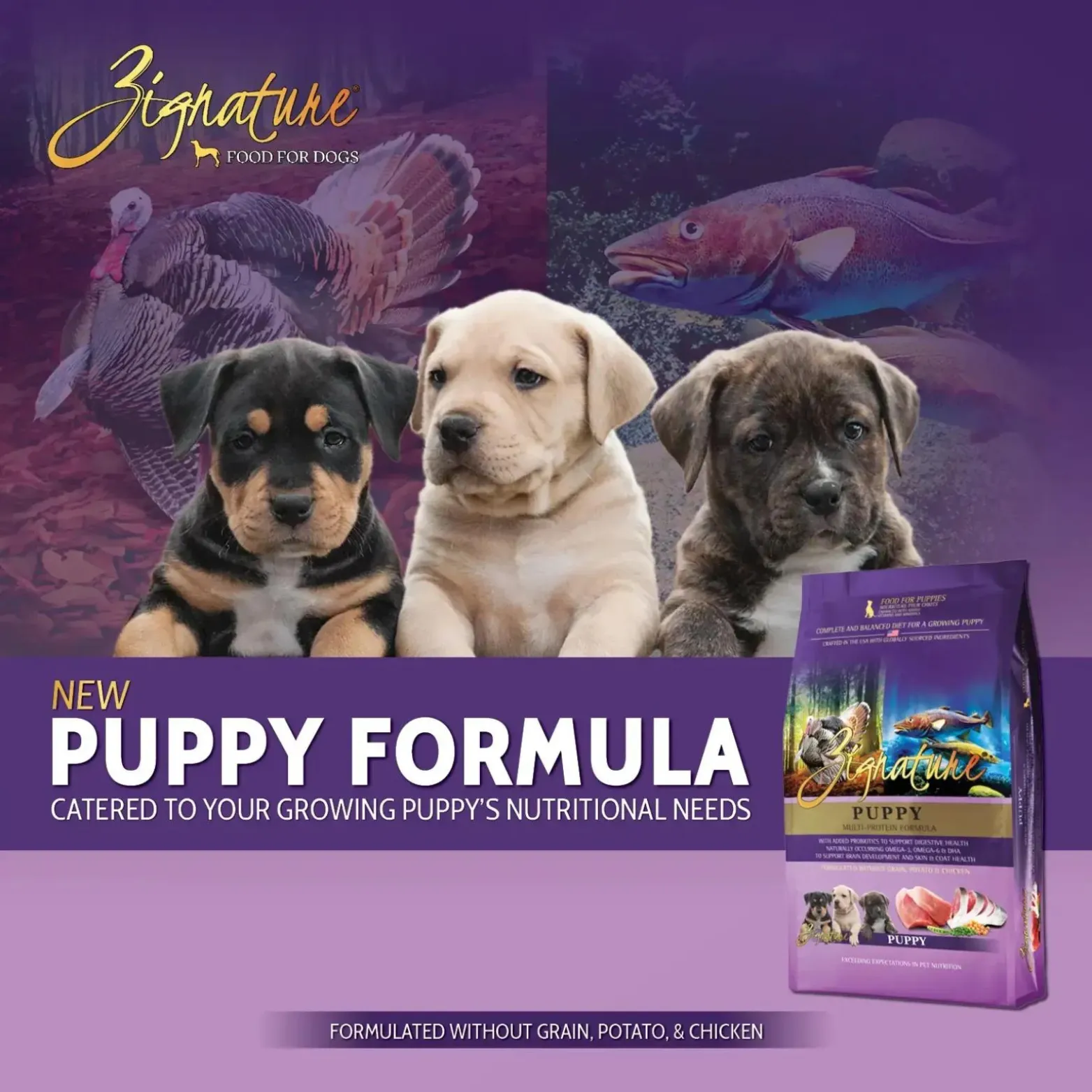 Zignature Puppy Limited Ingredient Formula Dry Dog Food